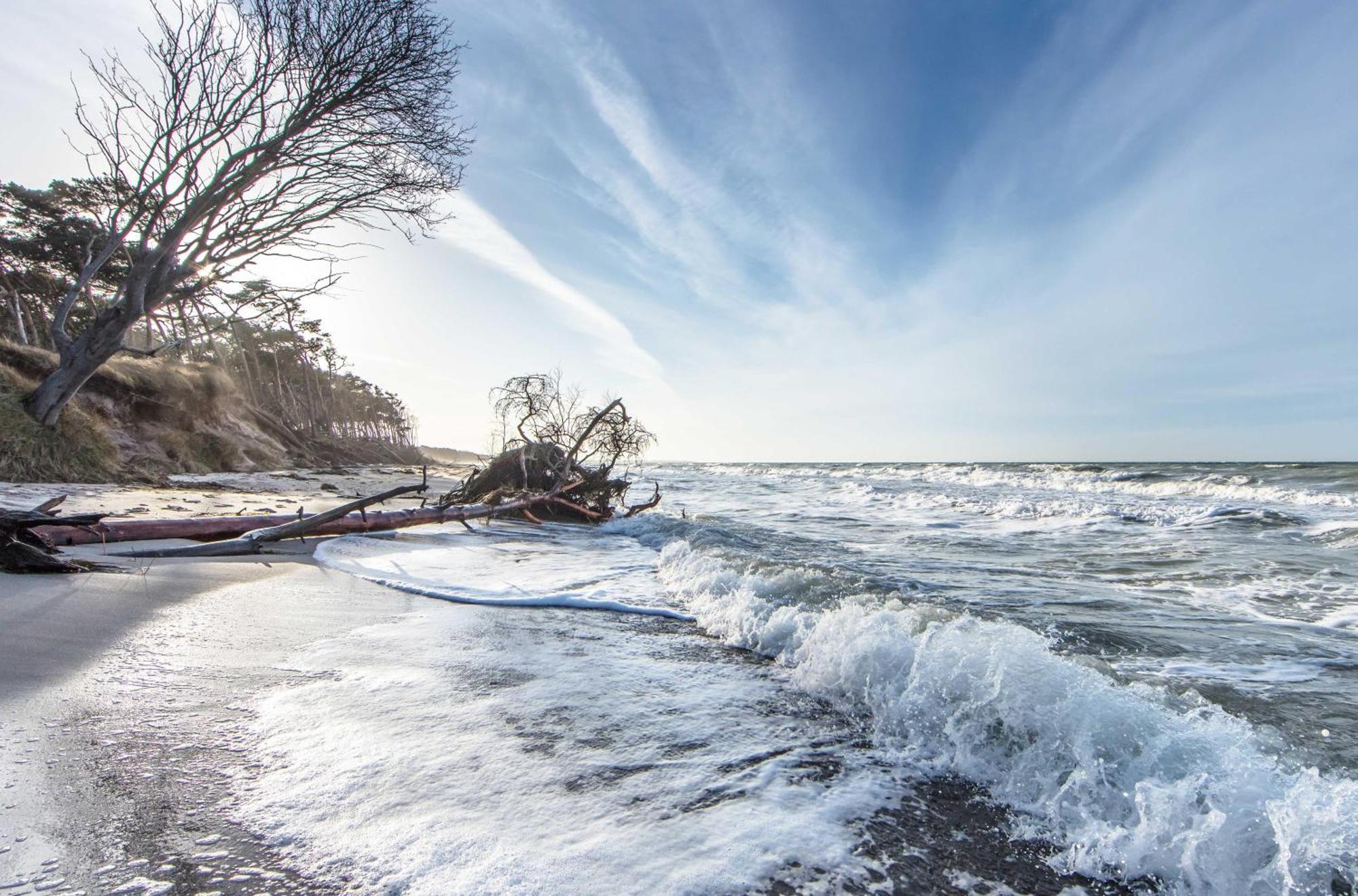 Kranichtanz An Der Seebruecke Zingst Exterior foto